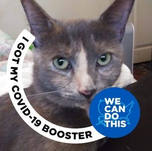 Meet your Posher, Dianne